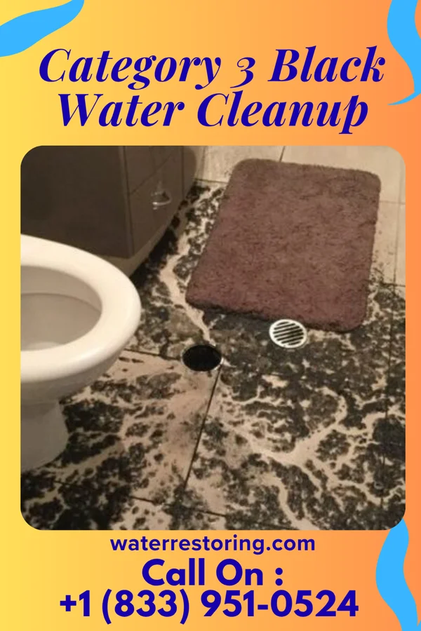Category 3 Black Water Cleanup in Mapleton, PA