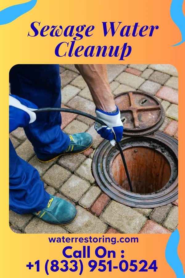 Sewage Water Cleanup in Mapleton, PA