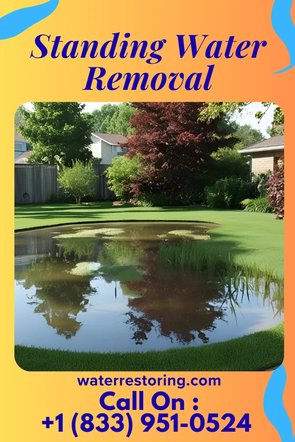 Standing Water Removal in Mapleton, PA